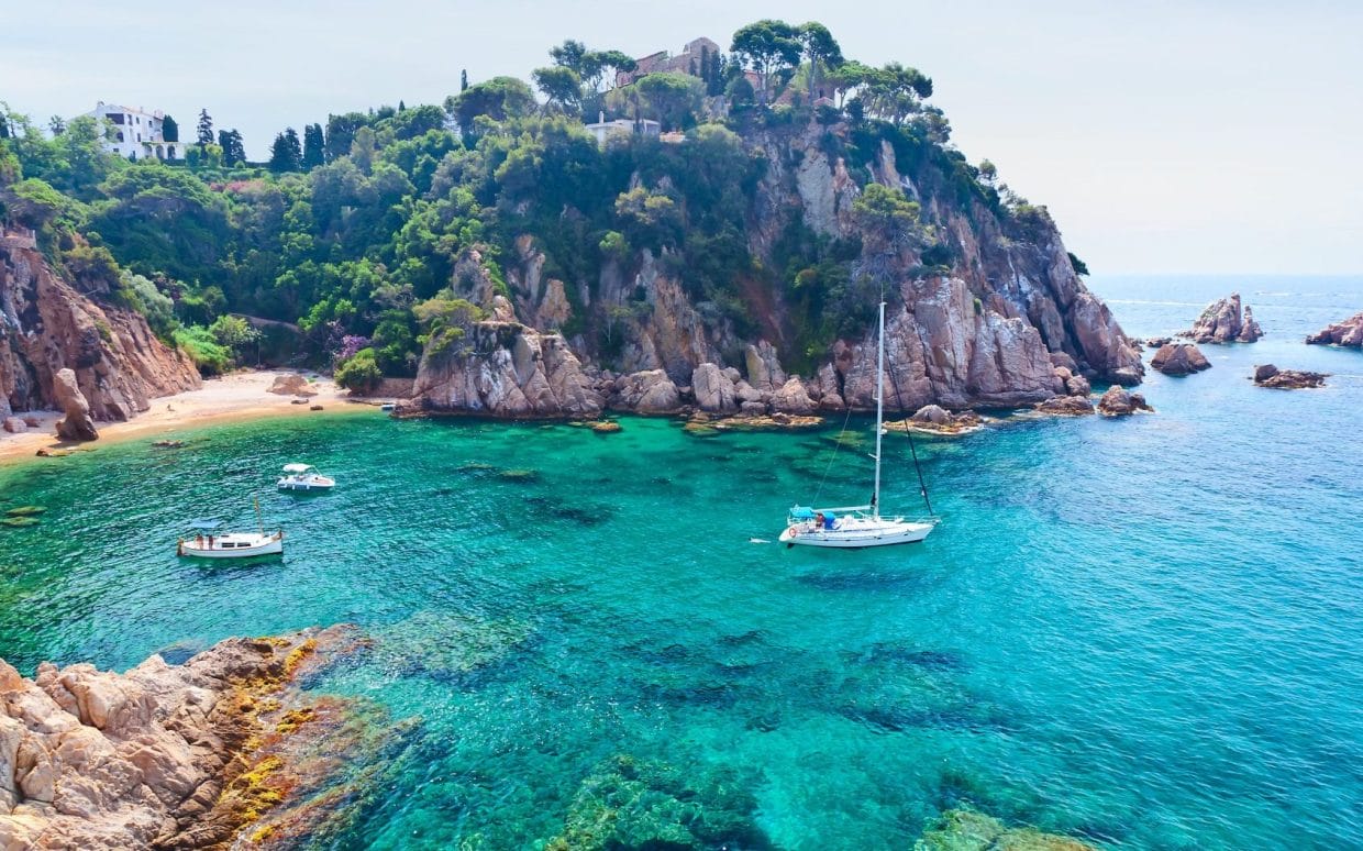 photo de rosas sur la costa brava