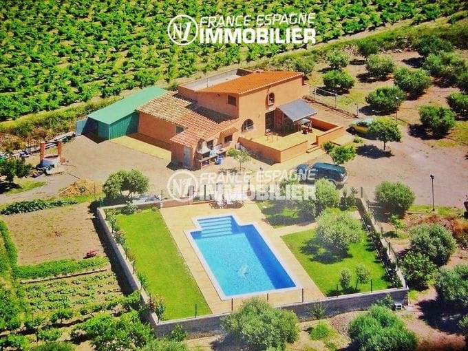 maison a vendre espagne, ref.2772,  avec piscine et exploitation agricole oliviers et vins sur 12832 m²
