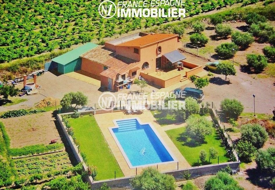 maison a vendre espagne, ref.2772, avec piscine et exploitation agricole oliviers et vins sur 12832 m²
