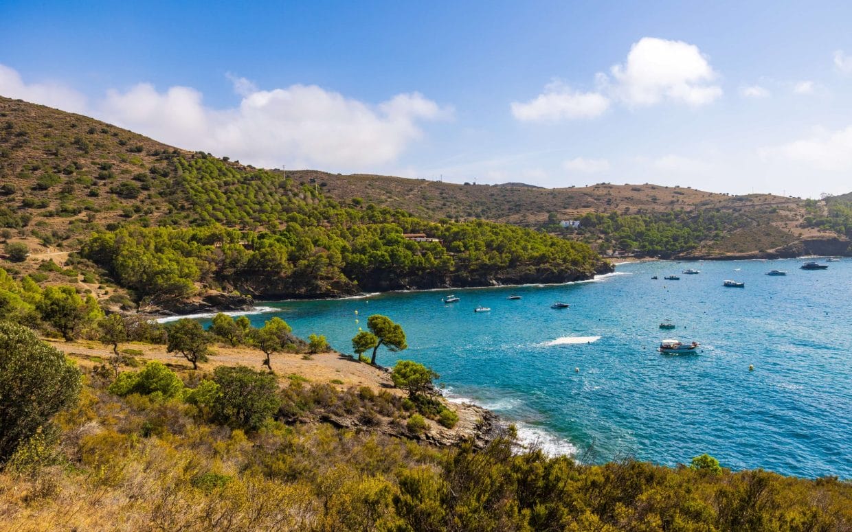 photo de la baie de roses