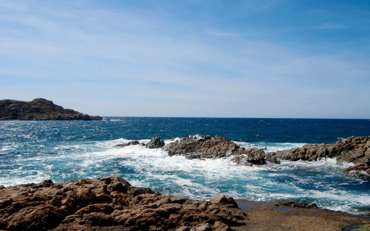 photo de paulo saverdera