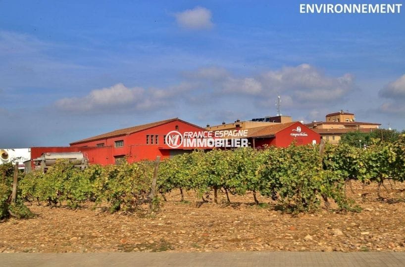 vente immobiliere espagne costa brava: ref.3823, producteur vignoles aux environs