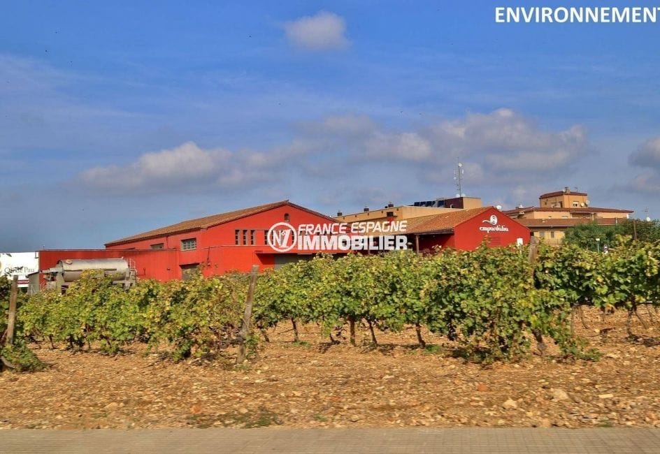 vente immobiliere espagne costa brava: ref.3823, producteur vignoles aux environs