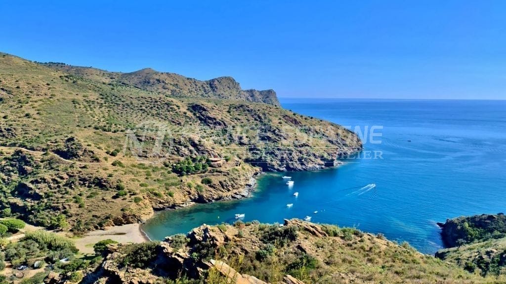 20201018_125256-copie