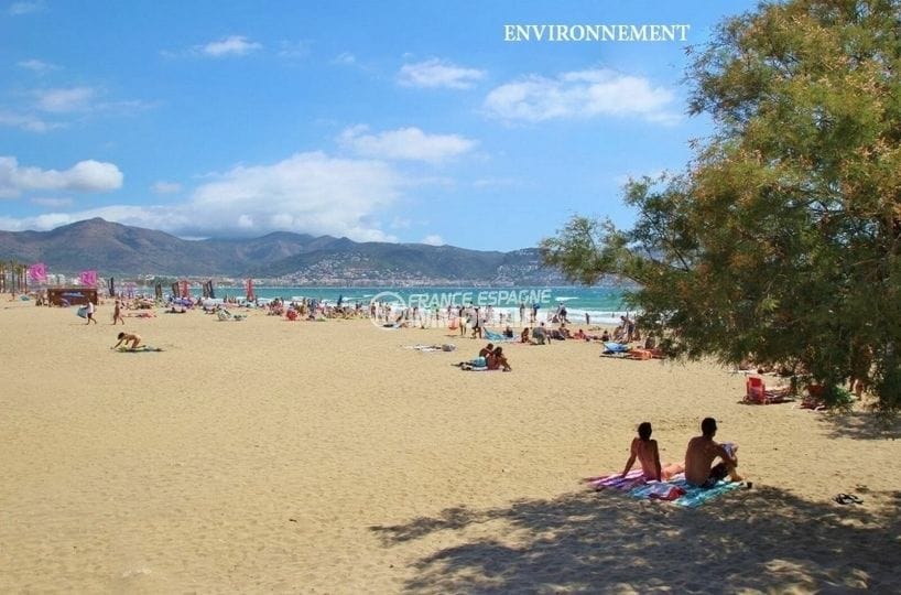 overview of the nearby beach of empuriabrava