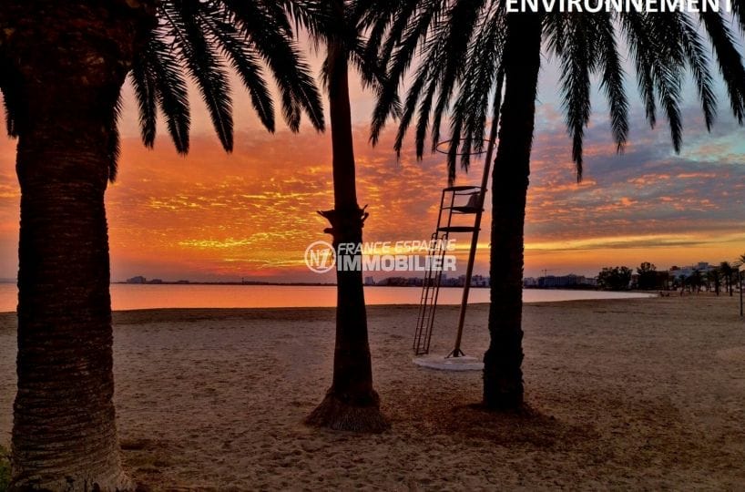 magnifique plage et ses palmiers avec son beau coucher de soleil