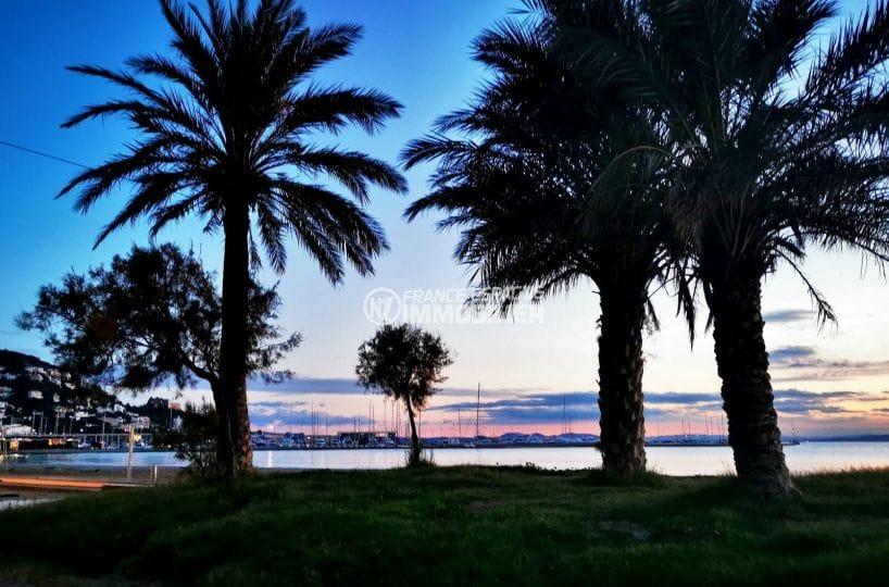 longues soirées estivalles sur la plage de rosas sous les palmiers