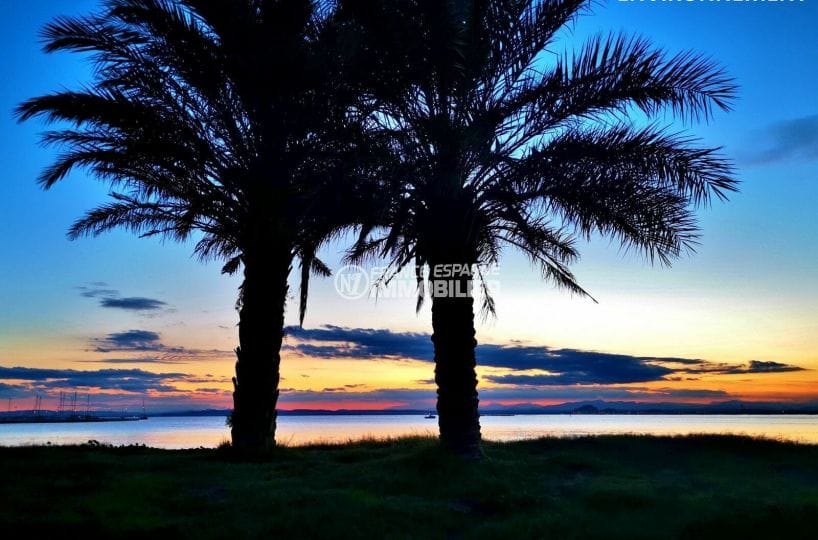 coucher de soleil - carte postale - sur la baie de rosas avec 2 palmiers en premier plan