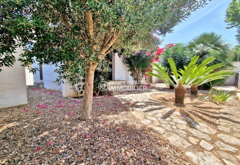 maison a vendre empuria brava, 3 pièces 90 m², entrée avec palmiers