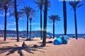 plage avec palmier pour l'ombrage