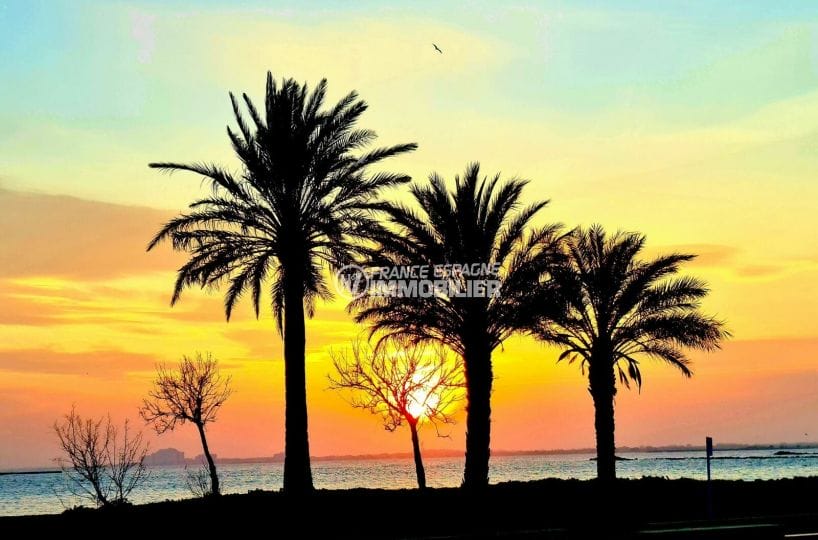 couché du soleil derrière les palmiers sur la plage