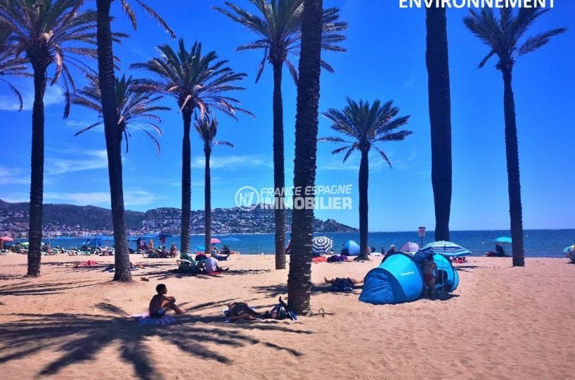 palmiers sur la plage de santa margarida