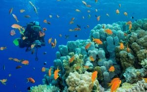 Plongée sous marine en Costa Brava